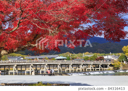 Arashiyama at the height of autumn leaves 84316413