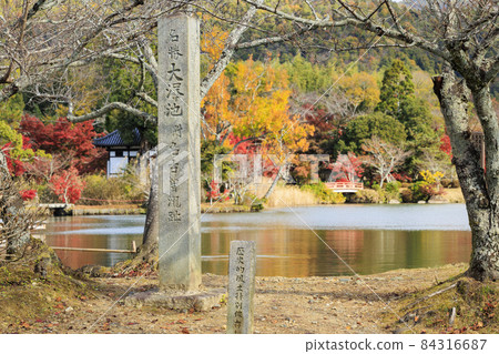 Daikakuji Temple and Osawa Pond, World Heritage Sites in full of autumn colors Daikakuji Temple and Osawa Pond, World Heritage Sites in full of autumn colors 84316687
