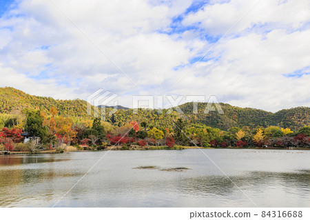 Daikakuji Temple and Osawa Pond, World Heritage Sites in full of autumn colors Daikakuji Temple and Osawa Pond, World Heritage Sites in full of autumn colors 84316688