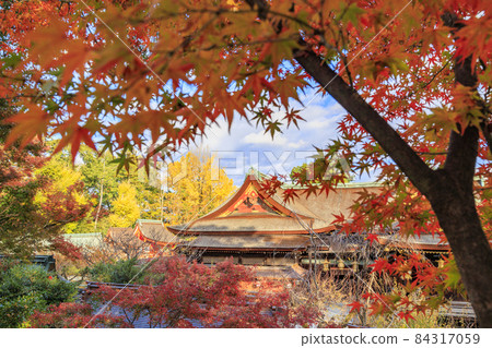 充滿秋色的北野天滿宮紅葉園 84317059