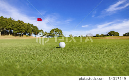 Beautiful green grass and pure white golf ball 84317349