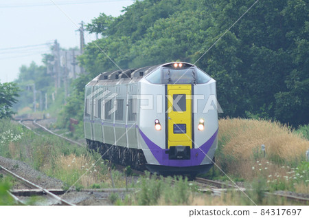 Limited express "Hokuto" that pushes through the Muroran Main Line buried in summer grass 84317697