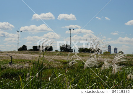 Sky park landscape Sky park landscape 84319385