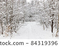 Snow winter forest with frozen snowy trees. 84319396
