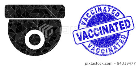 Scratched Vaccinated Round Stamp and CCTV Camera Low-Poly Icon 84319477