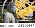 京都的神社和寺廟 Konkai Komyoji 寺的銀杏和佛像 84319667