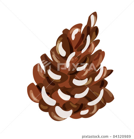 Pine tree cone branch Vector illustration. Christmas and New Year decor. Winter holidays design elements. Pine Pine tree cone branch Vector illustration. Christmas and New Year decor. Winter holidays design elements. Pine 84320989