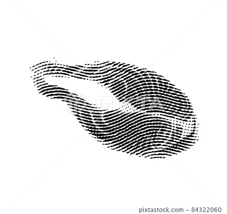 Engraved style illustration of fresh oysters in shells for menu Engraved style illustration of fresh oysters in shells for menu 84322060