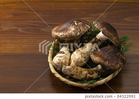 Autumn taste matsutake mushrooms placed on a board - Stock Photo
