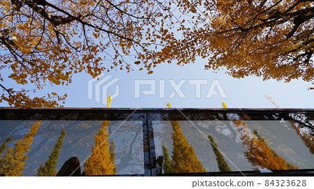 Ginkgo Namiki 2021: Open Top Bus 2 84323628