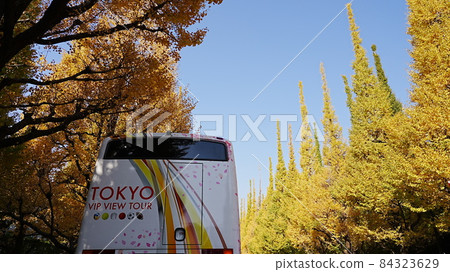 Ginkgo Namiki 2021: Open Top Bus 3 84323629