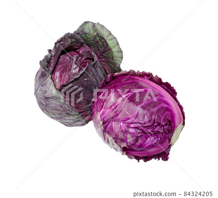 Cabbage red isolated on white. Cabbage red isolated on white. 84324205