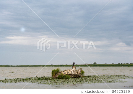 Danube river landscape on a summer day 84325129