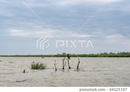 Danube river landscape on a summer day 84325197