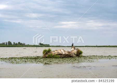Danube river landscape on a summer day 84325199