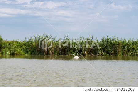 Danube river landscape on a summer day 84325203