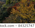 Mt. Rokko in autumn as seen from Rokko Cable 84325747