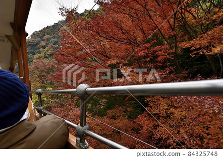 從六甲纜車看秋天的六甲山 從六甲纜車看秋天的六甲山 84325748