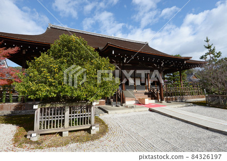 Autumn Daikakuji Temple and Tachibana Saga, Ukyo-ku, Kyoto 84326197