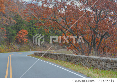 The winding Skyline Drive through the Fall colored trees. In Shenandoah National Park on the Blue Ridge Mountains of Virginia The winding Skyline Drive through the Fall colored trees. In Shenandoah National Park on the Blue Ridge Mountains of Virginia 84326215
