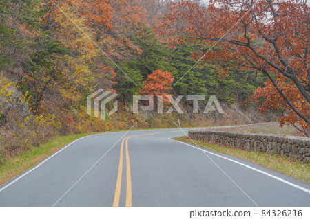 The winding Skyline Drive through the Fall colored trees. In Shenandoah National Park on the Blue Ridge Mountains of Virginia The winding Skyline Drive through the Fall colored trees. In Shenandoah National Park on the Blue Ridge Mountains of Virginia 84326216