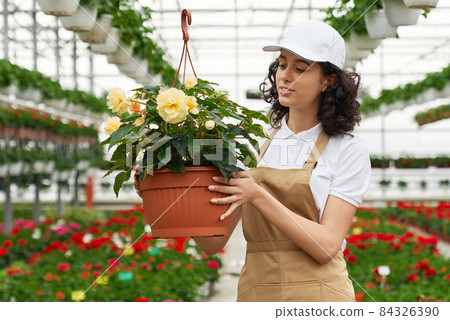 Cute woman holding large pot with beautiful yellow flowers. Cute woman holding large pot with beautiful yellow flowers. 84326390