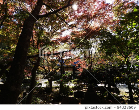 觀音寺 84328609