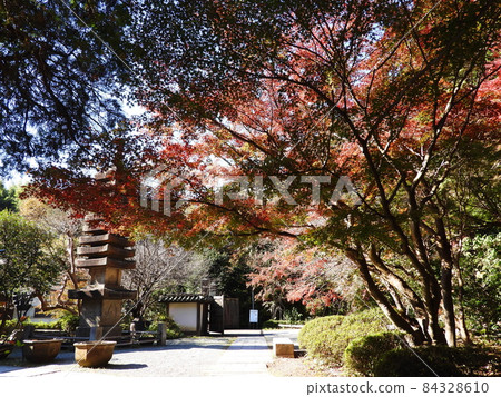 Kakuonji-temple 84328610