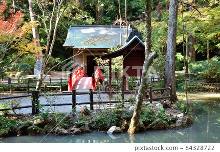大國神社紅葉盛開 大國神社紅葉盛開 84328722