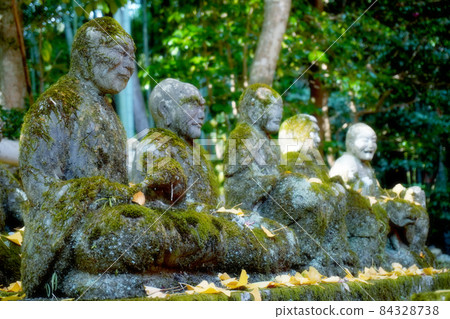 Yellow leaves and Rakan statue Yellow leaves and Rakan statue 84328738