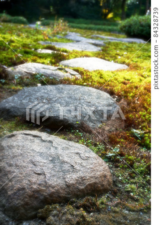 Stepping Stones of Japanese Garden Stepping Stones of Japanese Garden 84328739