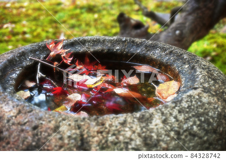 楓葉筑波 84328742