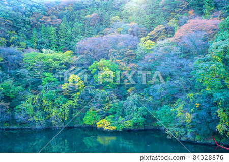 View from the top of Lake Takatsudo Dam Omama Autumn scenery View from the top of Lake Takatsudo Dam Omama Autumn scenery 84328876
