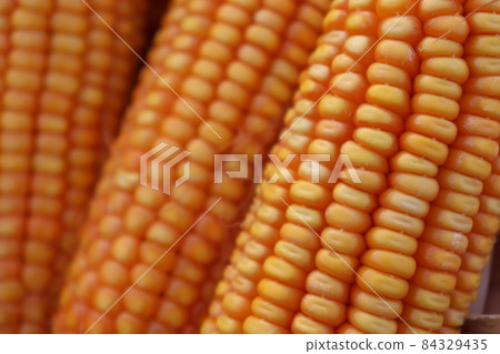 ripe maize stock on shop for sell ripe maize stock on shop for sell 84329435