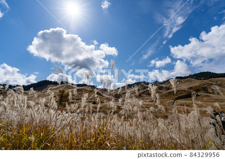 托峰高原　 84329956