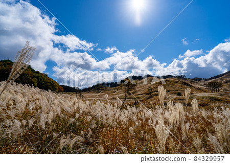 托峰高原　 84329957