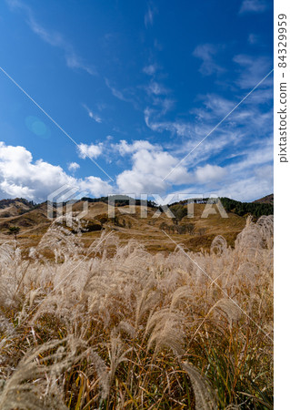 托峰高原　 84329959