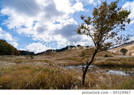 托峰高原　 84329967
