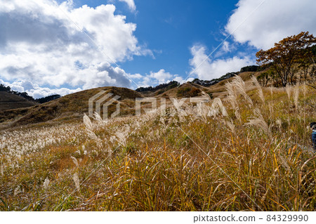 托峰高原　 84329990