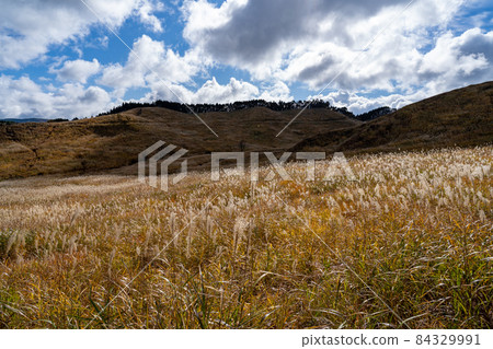 托峰高原　 84329991