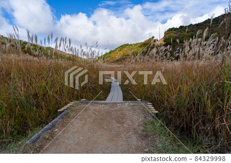 托峰高原　 84329998