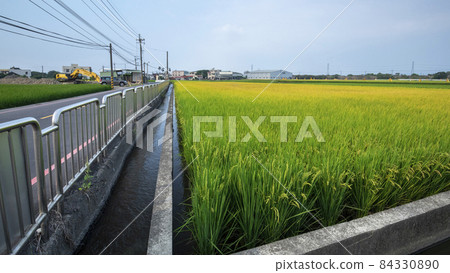 Taiwan, green oil, rice field, Taiwan, green oil, 田んぼ, Taiwan, green oil, rice field 84330890