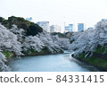 Chidorigafuchi的櫻花 84331415