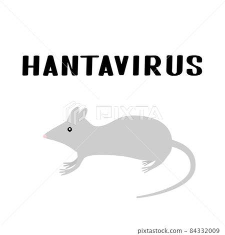 Hantavirus hand lettering and gray rat or mouse isolated on white. New virus from China. Hantavirus pulmonary syndrome HPS . Vector template for typography poster, banner, sticker, flyer, etc. Hantavirus hand lettering and gray rat or mouse isolated on white. New virus from China. Hantavirus pulmonary syndrome HPS . Vector template for typography poster, banner, sticker, flyer, etc. 84332009