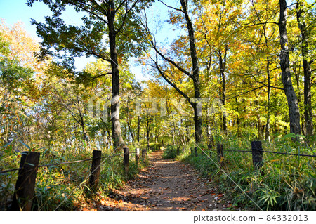 Sengenyama Park (Fuchu City, Tokyo) [2021.11] 84332013