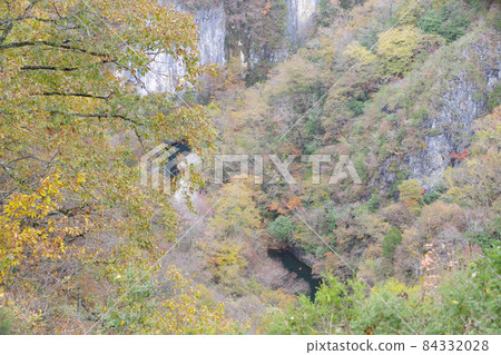 Scenery of autumn leaves of Shimotaishakukyo Taro Rock Scenery of autumn leaves of Shimotaishakukyo Taro Rock 84332028