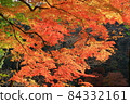 Autumn leaves of Korankei Gorge, Asuke-cho, Toyota City, Aichi Prefecture 84332161