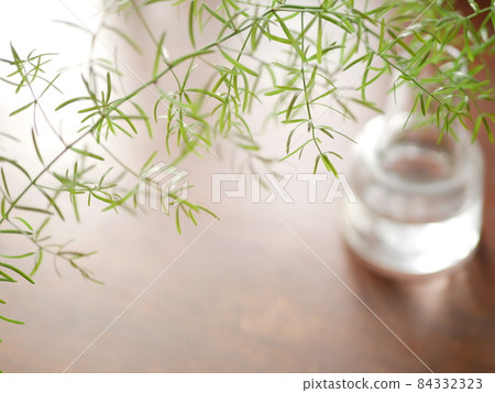 Asparagus splengery on a flower base [dining image] 84332323