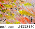 使用橙色蒼白細膩線條的圖案 84332480