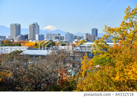 View of Fuchu Station and Mt. Fuji from Sengenyama Park (Fuchu City, Tokyo) [2021.11] 84332516